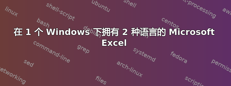 在 1 个 Windows 下拥有 2 种语言的 Microsoft Excel