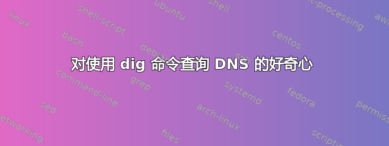 对使用 dig 命令查询 DNS 的好奇心