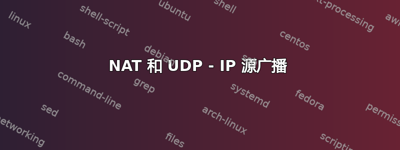 NAT 和 UDP - IP 源广播