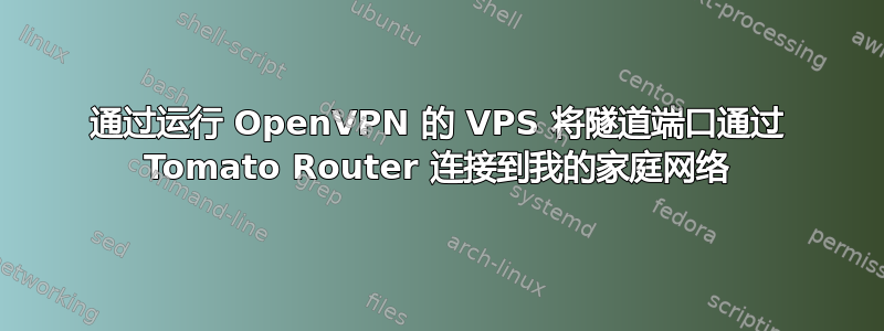 通过运行 OpenVPN 的 VPS 将隧道端口通过 Tomato Router 连接到我的家庭网络