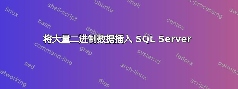 将大量二进制数据插入 SQL Server