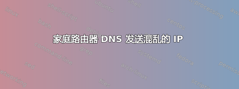 家庭路由器 DNS 发送混乱的 IP