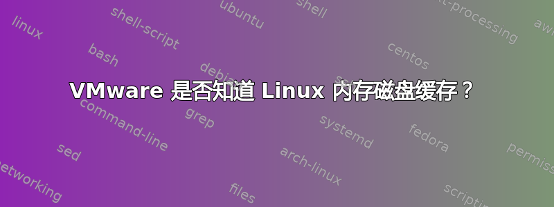 VMware 是否知道 Linux 内存磁盘缓存？