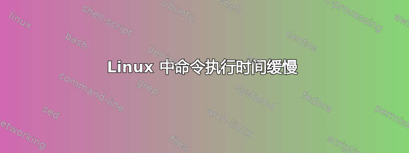 Linux 中命令执行时间缓慢