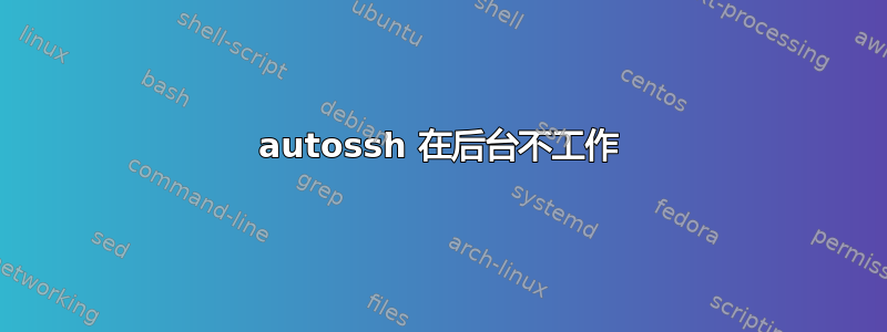 autossh 在后台不工作