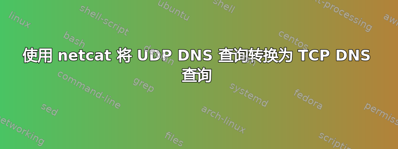 使用 netcat 将 UDP DNS 查询转换为 TCP DNS 查询