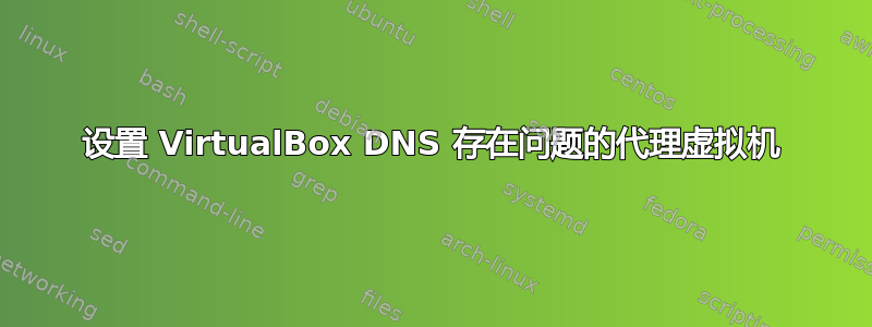 设置 VirtualBox DNS 存在问题的代理虚拟机