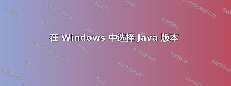 在 Windows 中选择 Java 版本