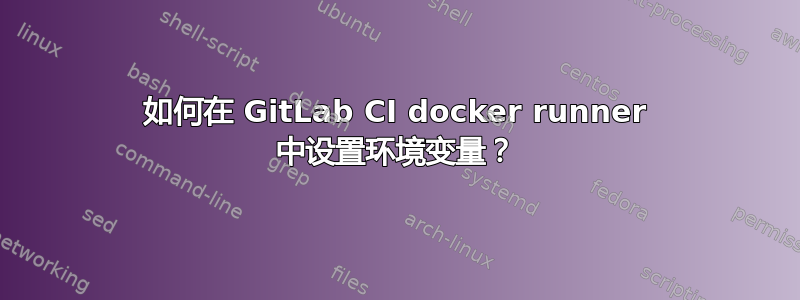 如何在 GitLab CI docker runner 中设置环境变量？