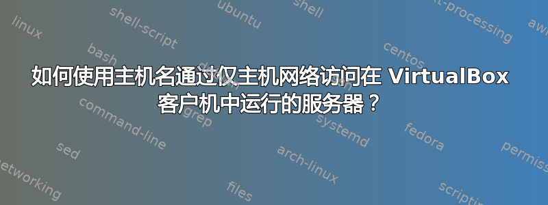 如何使用主机名通过仅主机网络访问在 VirtualBox 客户机中运行的服务器？