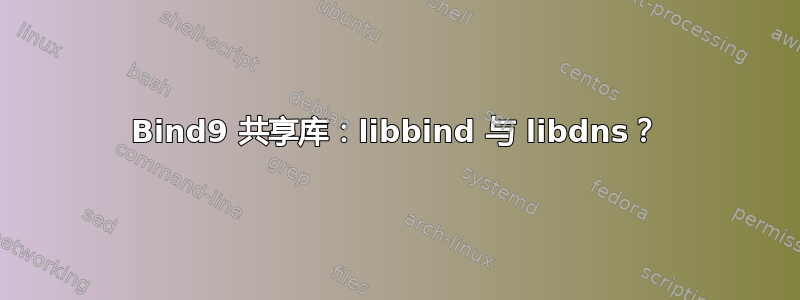 Bind9 共享库：libbind 与 libdns？