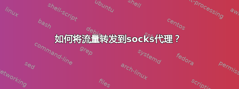 如何将流量转发到socks代理？