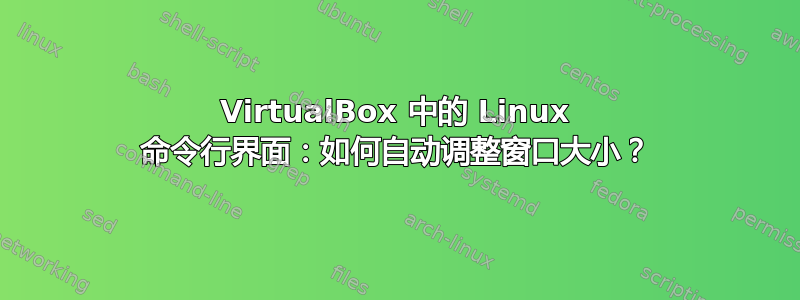 VirtualBox 中的 Linux 命令行界面：如何自动调整窗口大小？