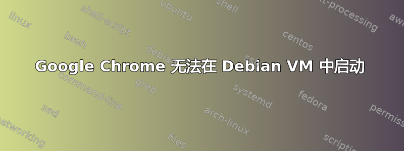 Google Chrome 无法在 Debian VM 中启动