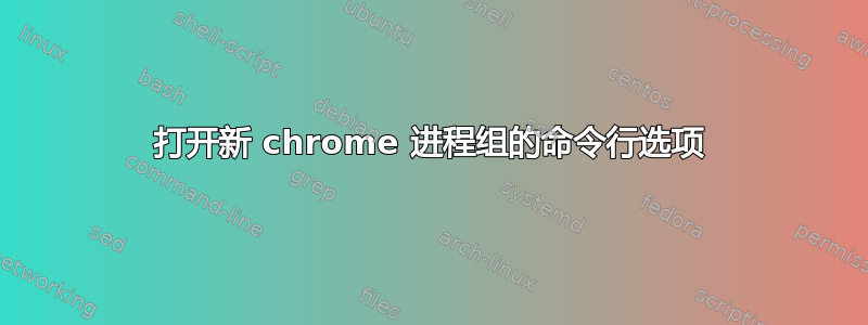 打开新 chrome 进程组的命令行选项