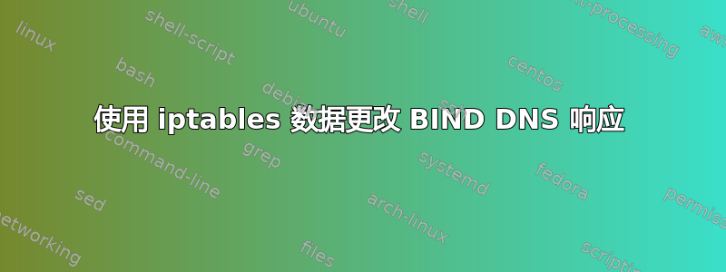 使用 iptables 数据更改 BIND DNS 响应