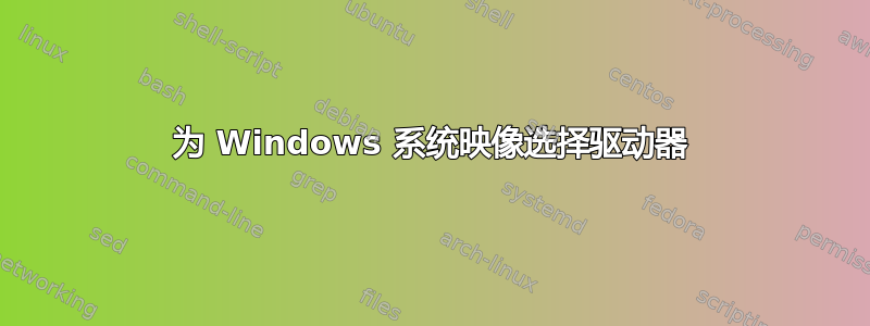 为 Windows 系统映像选择驱动器