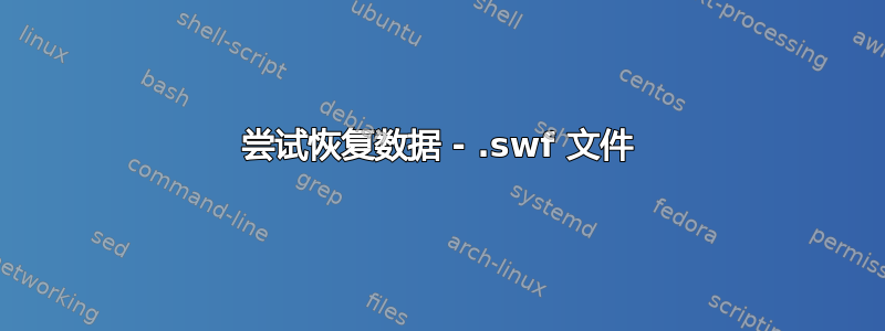 尝试恢复数据 - .swf 文件