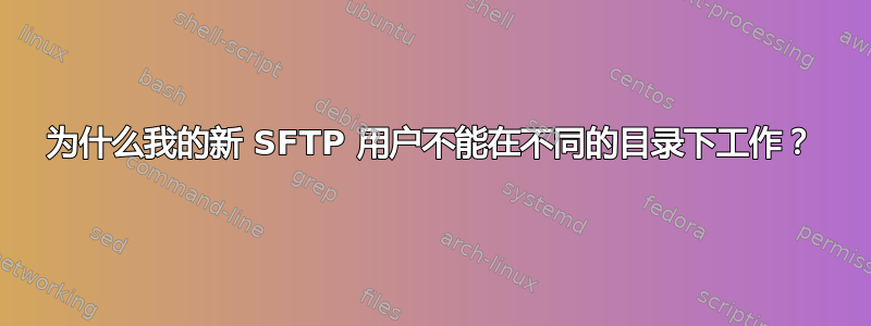 为什么我的新 SFTP 用户不能在不同的目录下工作？