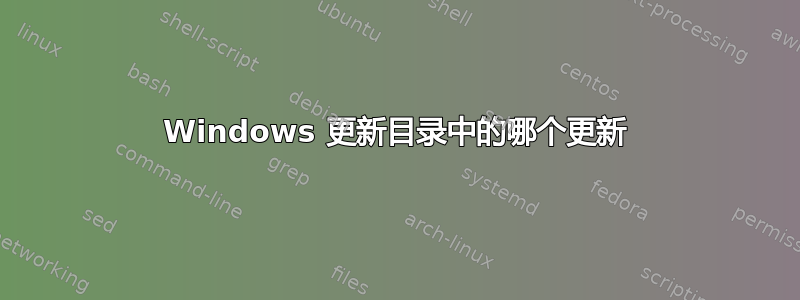 Windows 更新目录中的哪个更新