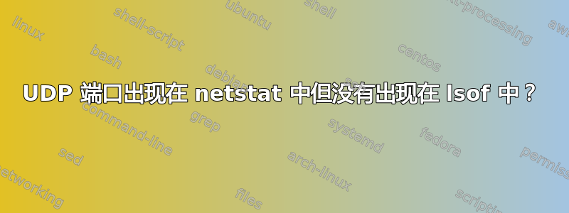 UDP 端口出现在 netstat 中但没有出现在 lsof 中？