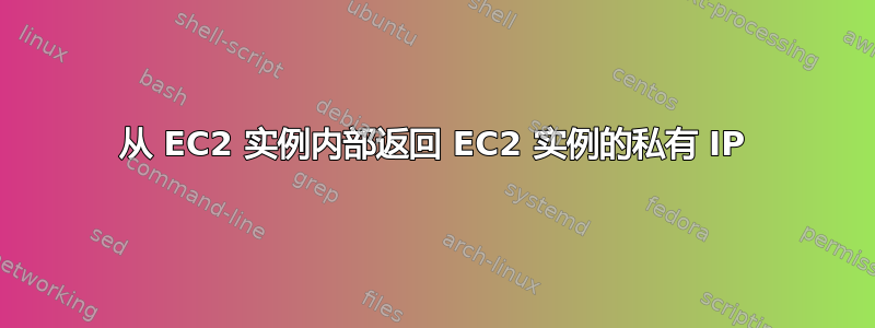 从 EC2 实例内部返回 EC2 实例的私有 IP