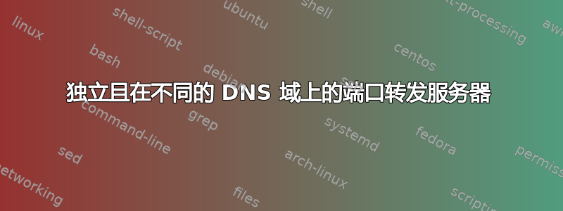 独立且在不同的 DNS 域上的端口转发服务器