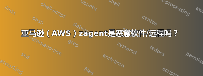 亚马逊（AWS）zagent是恶意软件/远程吗？