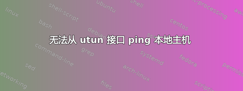 无法从 utun 接口 ping 本地主机