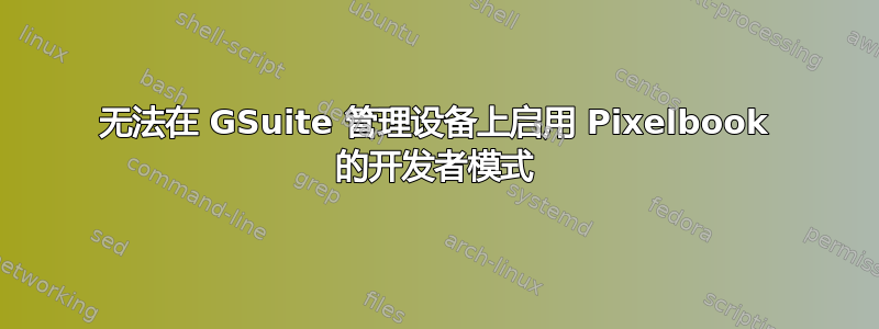 无法在 GSuite 管理设备上启用 Pixelbook 的开发者模式