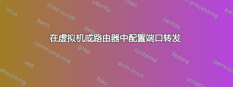 在虚拟机或路由器中配置端口转发