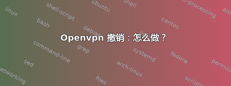 Openvpn 撤销：怎么做？