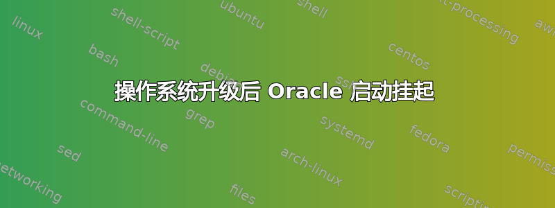 操作系统升级后 Oracle 启动挂起