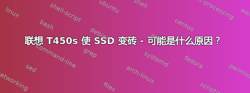 联想 T450s 使 SSD 变砖 - 可能是什么原因？