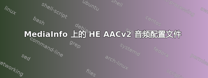 MediaInfo 上的 HE AACv2 音频配置文件