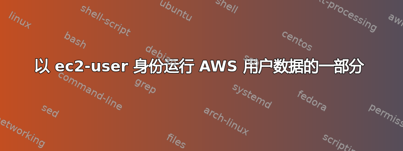 以 ec2-user 身份运行 AWS 用户数据的一部分