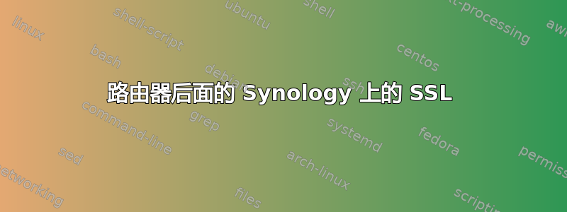 路由器后面的 Synology 上的 SSL