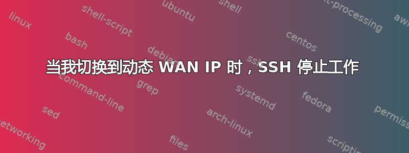 当我切换到动态 WAN IP 时，SSH 停止工作