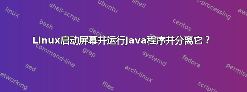 Linux启动屏幕并运行java程序并分离它？