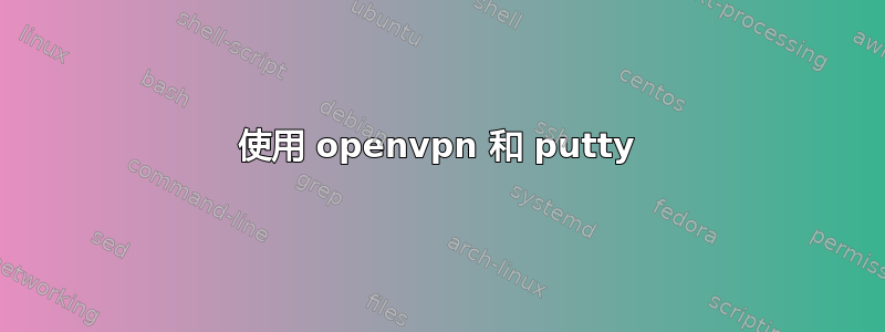 使用 openvpn 和 putty