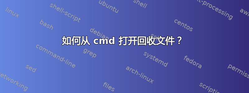 如何从 cmd 打开回收文件？