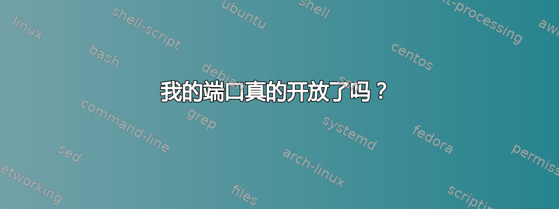 我的端口真的开放了吗？