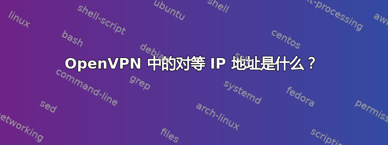 OpenVPN 中的对等 IP 地址是什么？