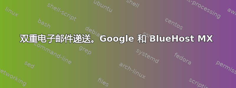 双重电子邮件递送。Google 和 BlueHost MX