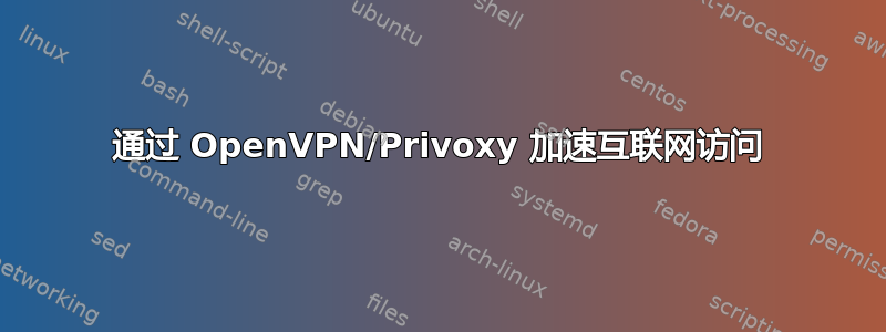 通过 OpenVPN/Privoxy 加速互联网访问