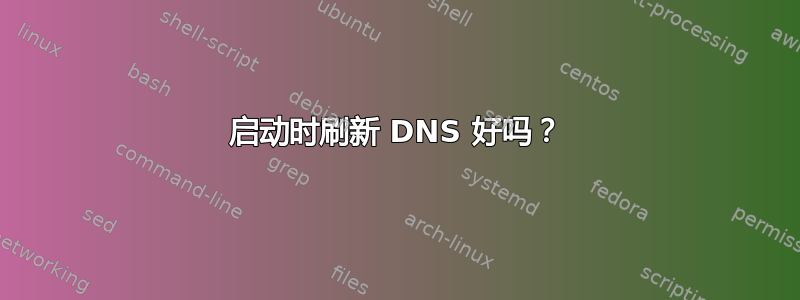 启动时刷新 DNS 好吗？