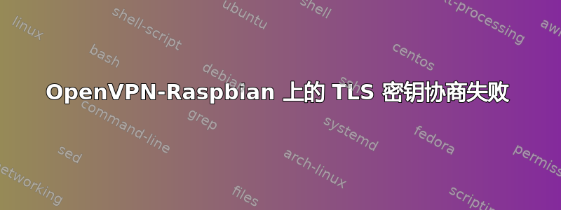 OpenVPN-Raspbian 上的 TLS 密钥协商失败