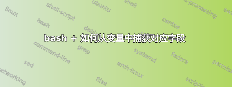 bash + 如何从变量中捕获对应字段