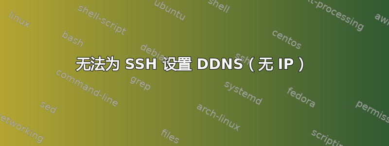 无法为 SSH 设置 DDNS（无 IP）