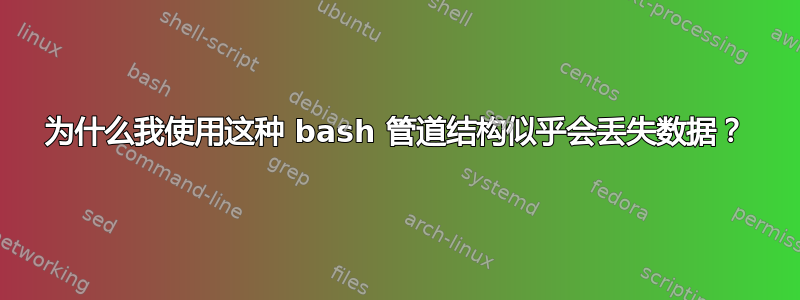 为什么我使用这种 bash 管道结构似乎会丢失数据？